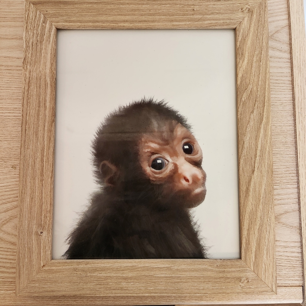 Room Essentials Alabaster Oak Frame w/ Baby Monkey Art